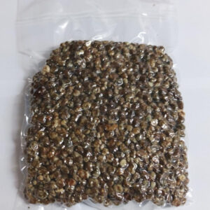 Odin (+Erntebox) – Bild 4